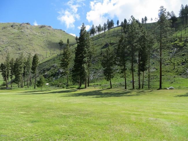 Back yard pasture | Image 20
