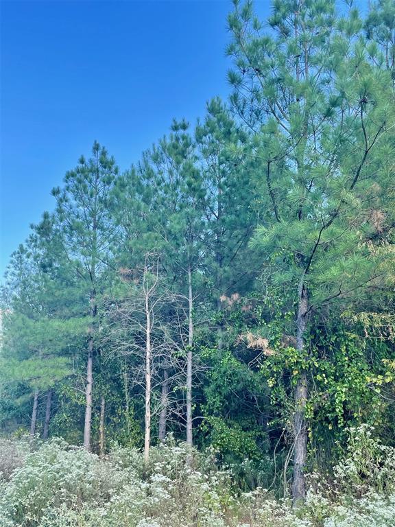 Land in Broken Bow 4