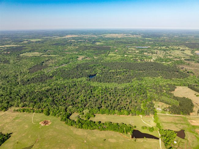 1 County Rd, Home with 0 bedrooms, 0 bathrooms and null parking in Leesburg TX | Image 26