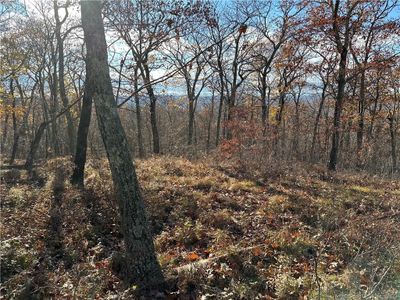 Catskills seen as thine blue line on this day | Image 2