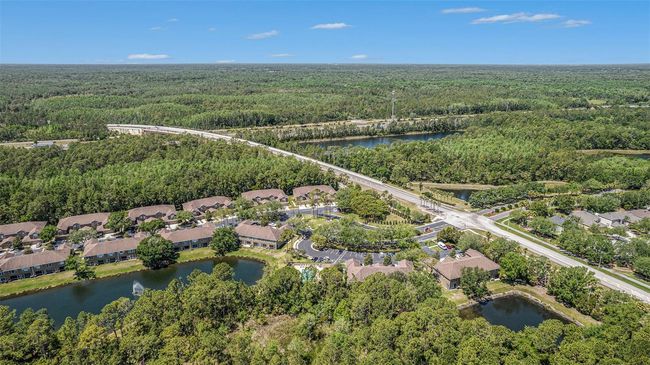 18981 Duquesne Dr, Townhouse with 2 bedrooms, 3 bathrooms and null parking in TAMPA FL | Image 29