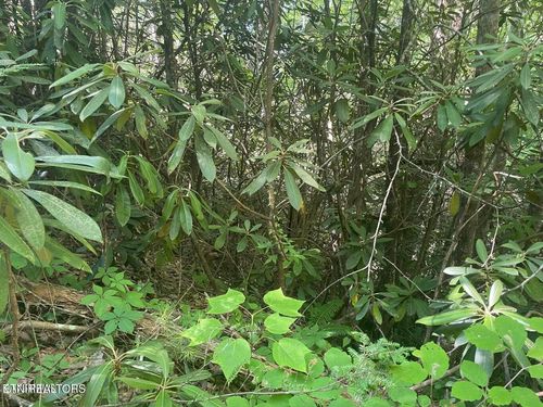 Lot 89 Sycamore Dr, Sevierville, TN, 37876 | Card Image