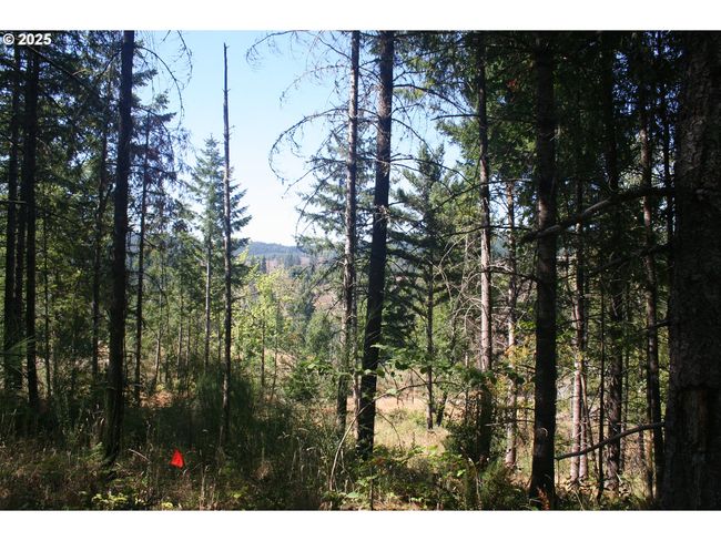 3647 Briar Knob Loop Ne, Home with 0 bedrooms, 0 bathrooms and null parking in Scotts Mills OR | Image 4
