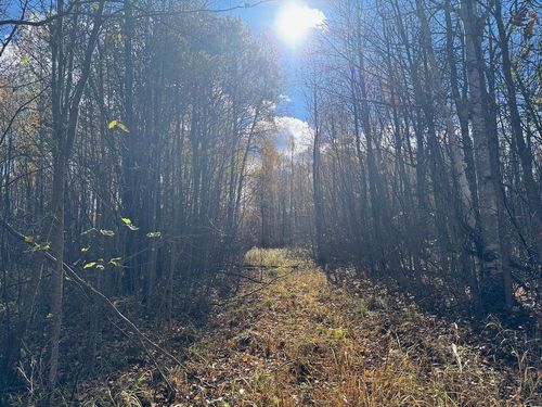 TBD Spangrud Ct Ne, Kelliher, MN, 56650 | Card Image