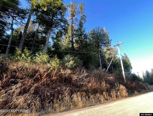 L9 B5 Beach Road, Home with 0 bedrooms, 0 bathrooms and null parking in Whale Pass AK | Image 8