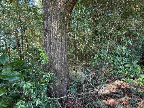 XXX Lewis Ln, Quincy, FL, 32352 | Card Image