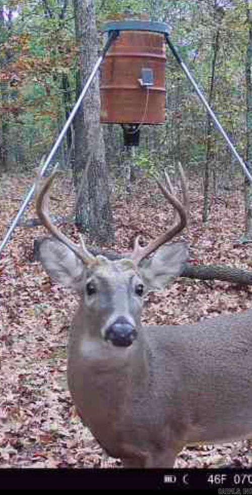 000 Jackson 5 Rd, Bradford, AR, 72020 | Card Image