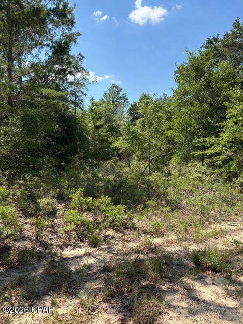 m-2-00 Pasofino Ln, Alford, FL, 32420 | Card Image