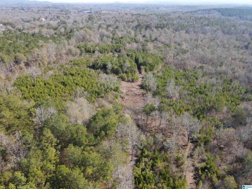 0-0 Cunningham Ln, EASTABOGA, AL, 36260 | Card Image