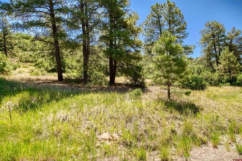 587 Santino Pl, Pagosa Springs, CO, 81147-8161 | Card Image