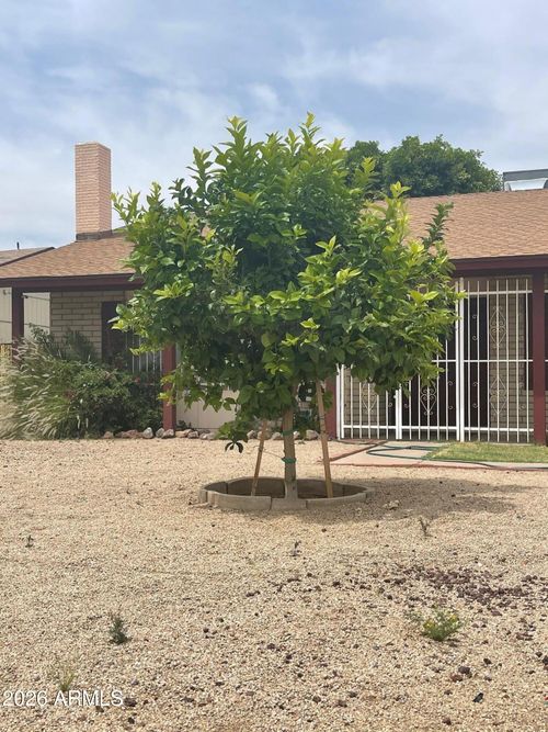 4850 N 63rd Lane, Phoenix, AZ, 85033 | Card Image