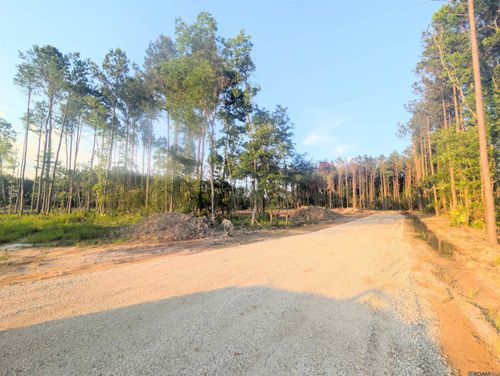 Tract 4 Critter Cove Ln, Livingston, LA, 70754 | Card Image