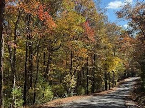 Lot 9 Peter Knob Road, Blue Ridge, GA, 30513 | Card Image