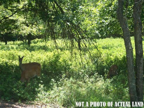 1126 Petrarch Trail & Cummings Lane, Penn Forest Twp, PA, 18210 | Card Image