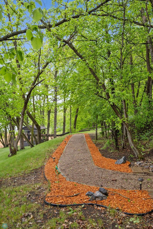 Path to Lake | Image 37