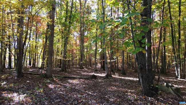 1367 S Constitution Rte, House other with 4 bedrooms, 1 bathrooms and null parking in DILLWYN VA | Image 17