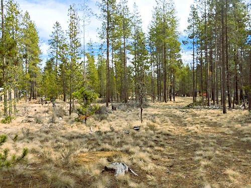 16555 Fawn Ct, La Pine, OR, 97739-1117 | Card Image