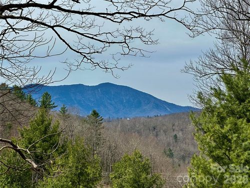 65 Blue Ridge Gem Mine Road, Little Switzerland, NC, 28777 | Card Image