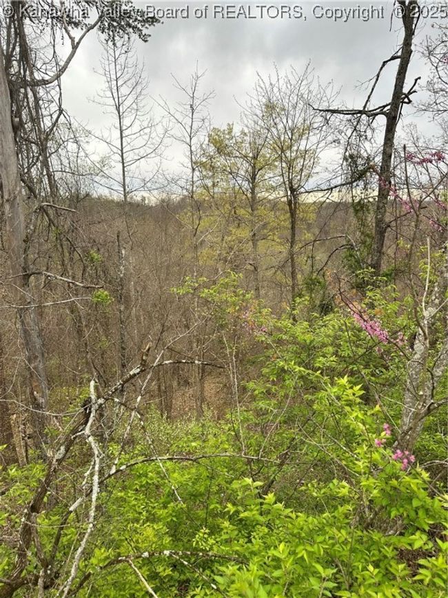 0 Pleasantview Dr, Home with 0 bedrooms, 0 bathrooms and null parking in Elkview WV | Image 4