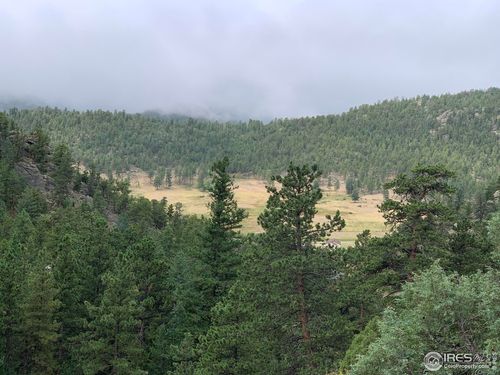 875 Pine Tree Dr, Estes Park, CO, 80517-8816 | Card Image