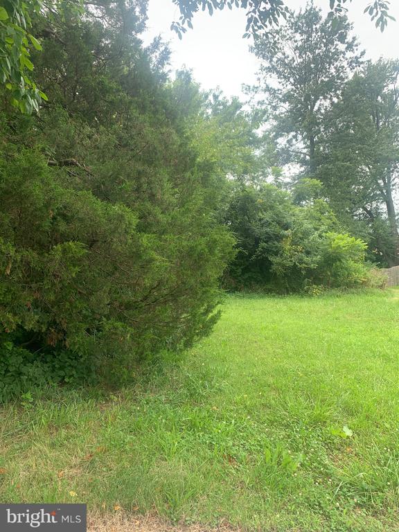 Land in WOODSTOWN 3