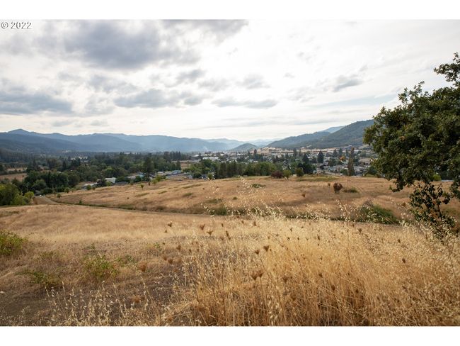 0 E 2 Nd Ave, Home with 0 bedrooms, 0 bathrooms and null parking in Riddle OR | Image 6
