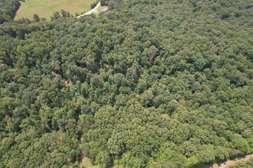 0 Webb Rd Ext, Summertown, TN, 38483 | Card Image