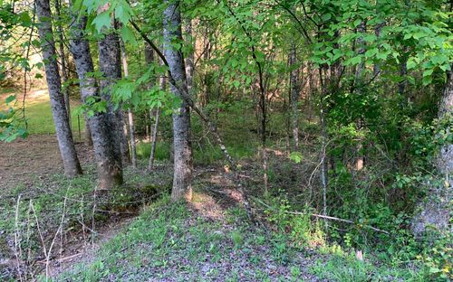 LOT # Hunter Valley Rd, Murphy, NC, 28906 | Card Image