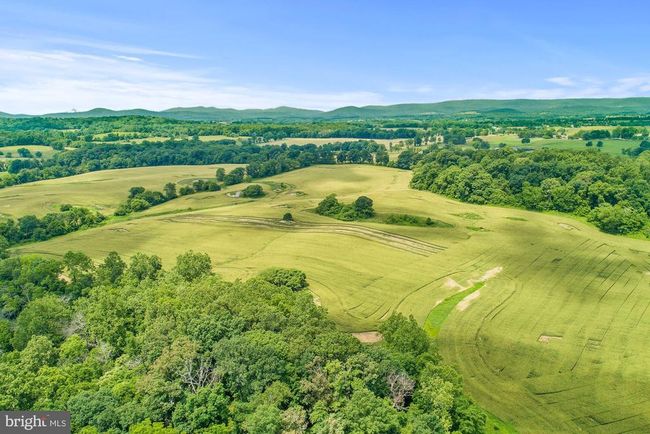 8160 Frogtown Rd, Home with 0 bedrooms, 0 bathrooms and null parking in MARSHALL VA | Image 14