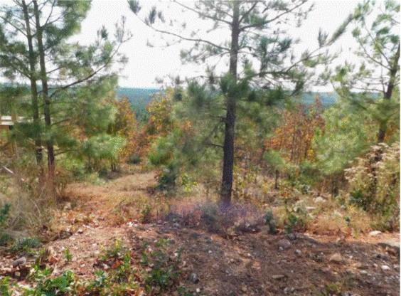 Land in Broken Bow 2