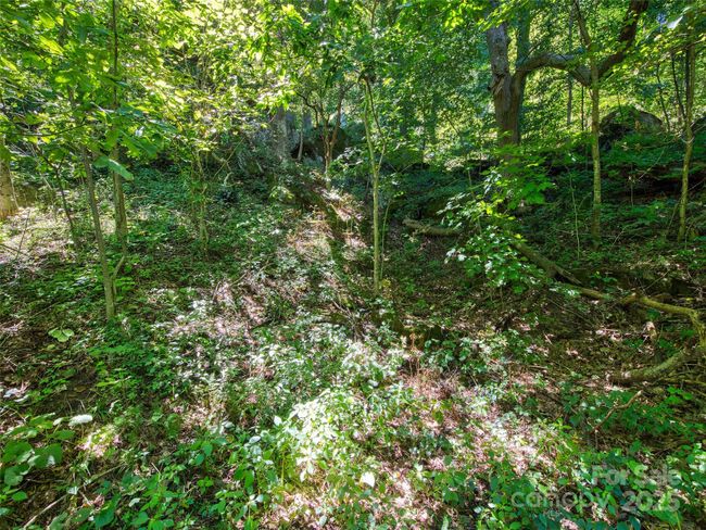 00 Yellow Locust Dr, Home with 0 bedrooms, 0 bathrooms and null parking in Waynesville NC | Image 9