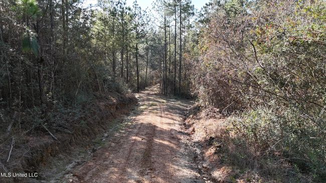 Trails 18 | Image 24