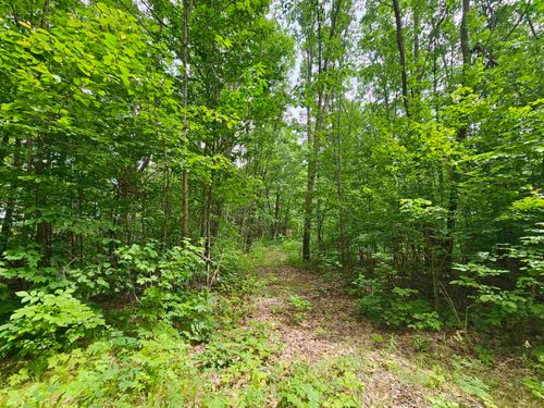 6509 Mareny Dr, Marion, MI, 49665-7936 | Card Image