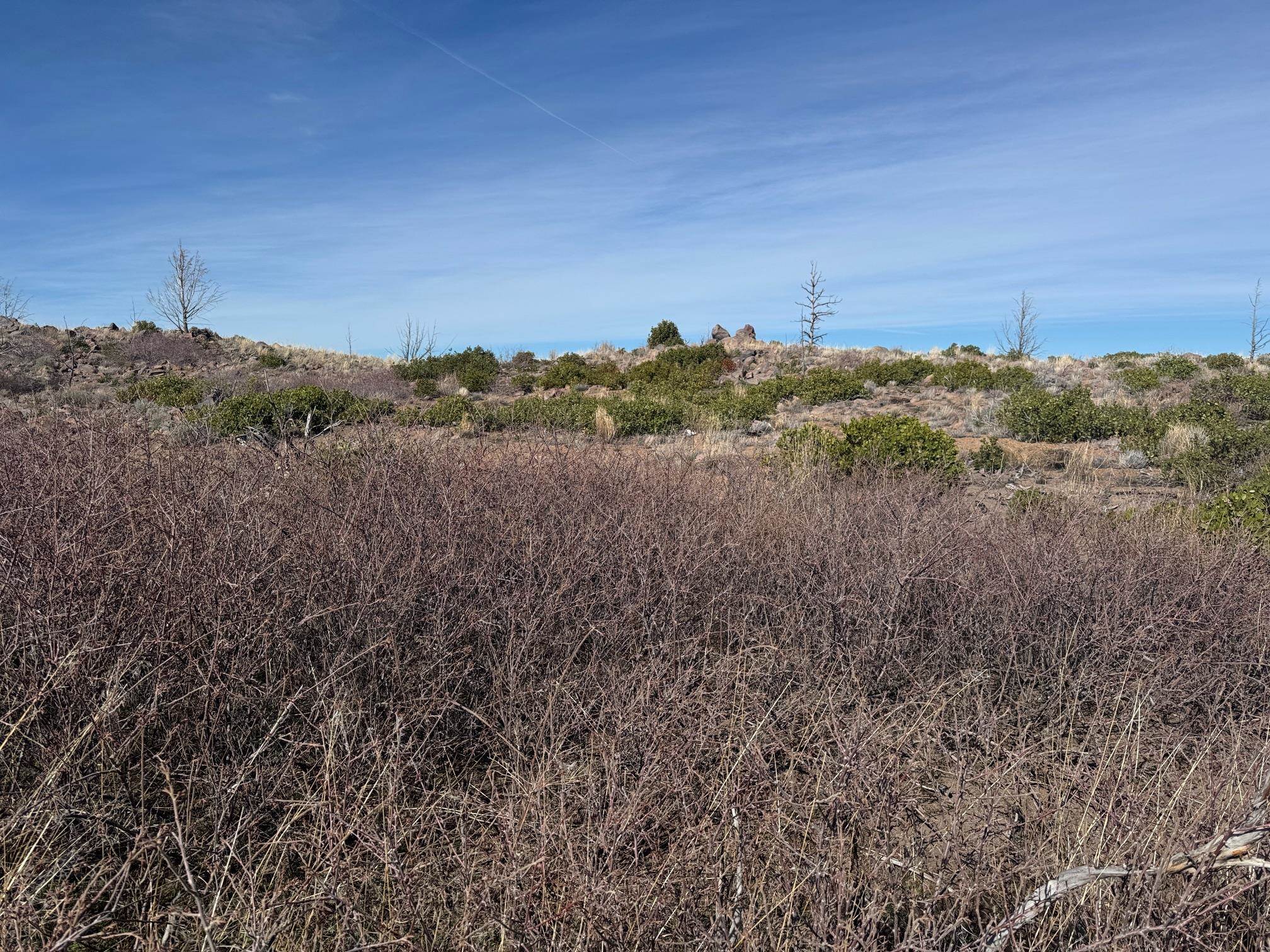 Land in Weed 4