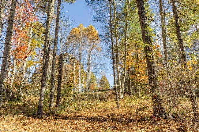 0 Laurel Creek Rd Ne, Home with 0 bedrooms, 0 bathrooms and null parking in Pilot VA | Image 14