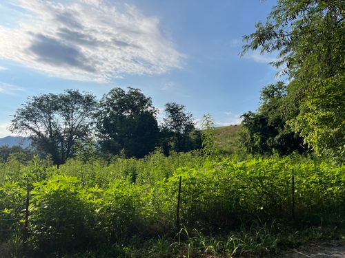 378 Rocky Top, Newport, TN, 37821 | Card Image