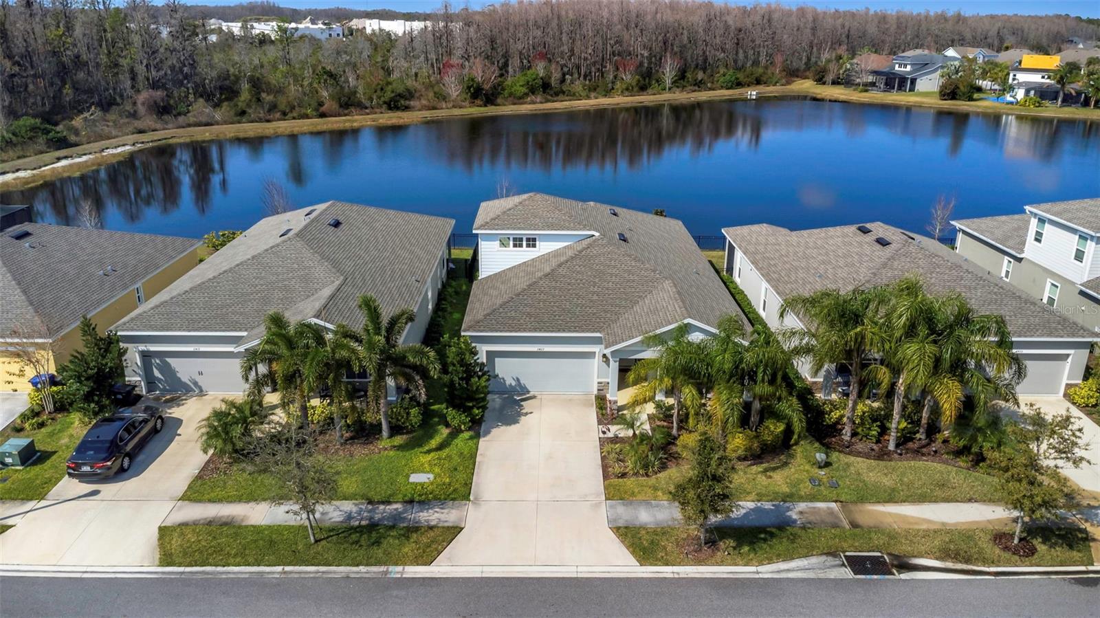 Portico St, Odessa, FL 33556