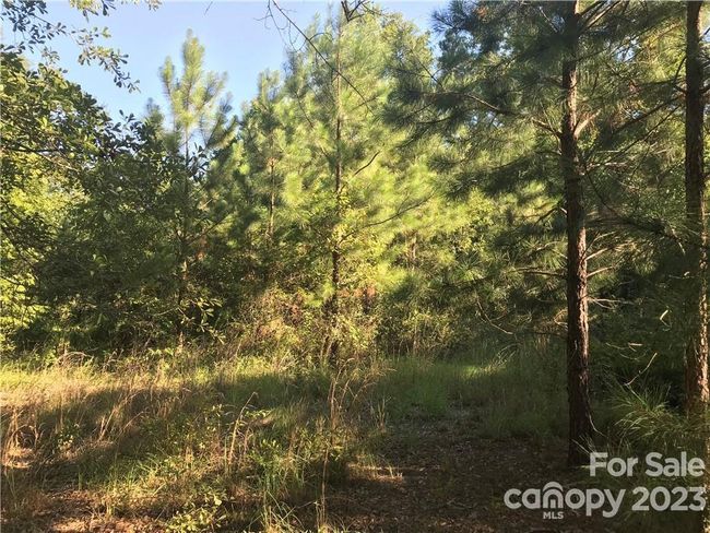 1750 Highway 1 N, Home with 0 bedrooms, 0 bathrooms and null parking in Cassatt SC | Image 7