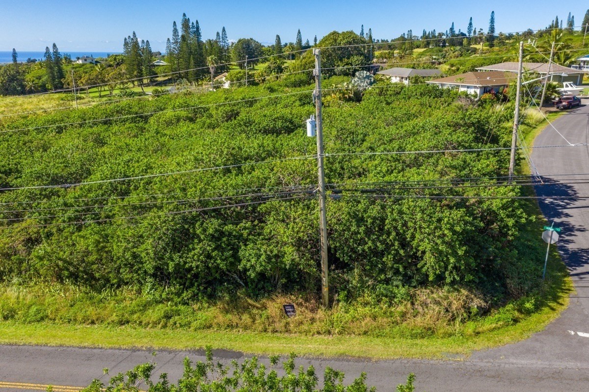 Land in Naalehu