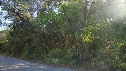 11112 Travis Drive, Jonestown, TX, 78645 | Card Image