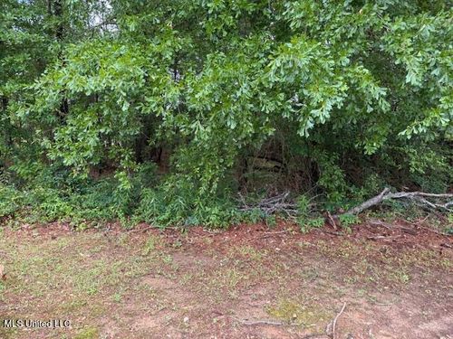 000 W Norwood/Old Enoch Road, Florence, MS, 39073 | Card Image