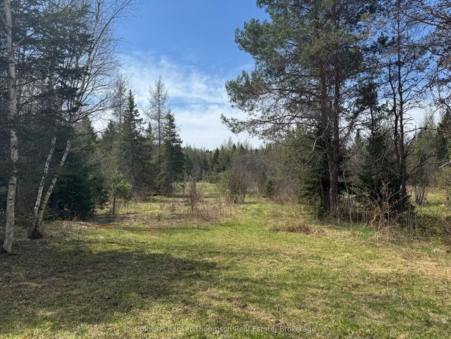 0 520 Highway Highway, House other with 0 bedrooms, 0 bathrooms and 6 parking in Ryerson ON | Image 7