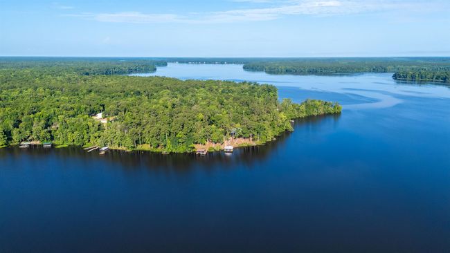 1007 Williams Landing Rd, House other with 3 bedrooms, 3 bathrooms and null parking in TALLAHASSEE FL | Image 58