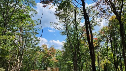 00 Calvender Rd, Turtletown, TN, 37391 | Card Image