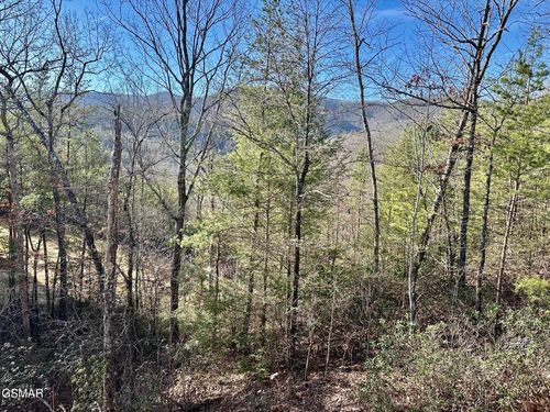 1306 Morning Dove Way, Sevierville, TN, 37862-3079 | Card Image
