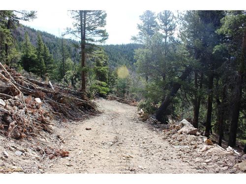 4 Lamertine Rd, Idaho Springs, CO, 80452 | Card Image