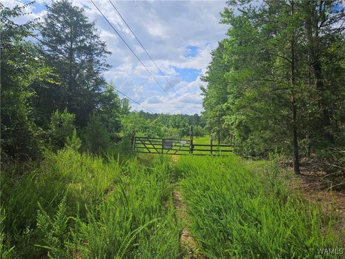 590 Serty Boyd Rd, WEST BLOCTON, AL, 35184-3363 | Card Image