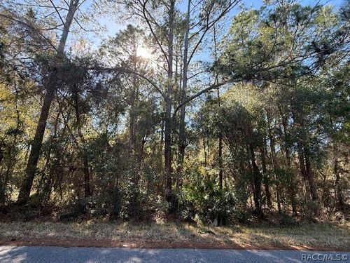 4280 E Nugget Pass Pl, DUNNELLON, FL, 34434-4723 | Card Image