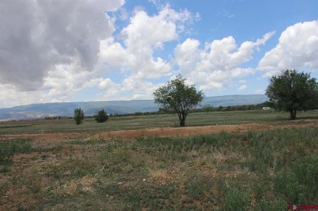 14433 2600 Rd, Home with 0 bedrooms, 0 bathrooms and null parking in Cedaredge CO | Image 40
