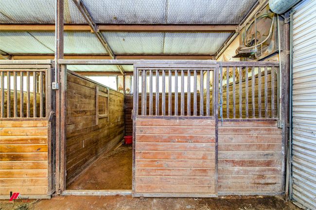 View of stalls | Image 11